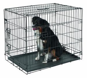 Kerbl Cage de transport pour animaux