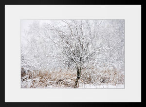 PHOTOBAY - blanche neige - Photographie