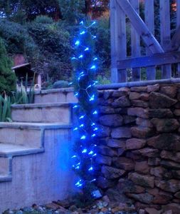 FEERIE SOLAIRE - guirlande solaire 60 leds bleues à clignotements 7 - Guirlande Lumineuse