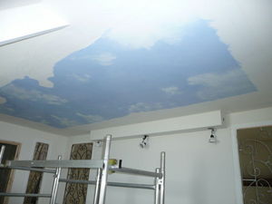 sandrine takacs decors - ciel - Plafond Peint