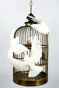 Artixe - les colombres - Cage À Oiseaux