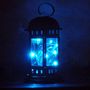Guirlande lumineuse-FEERIE SOLAIRE-Guirlande solaire 10 leds bleues 80cm