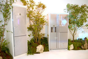 Lg Electronics American style fridge