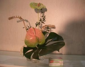Asian-Decoration - ventouse - Flower Holder