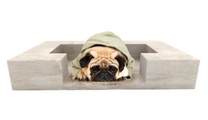 Rouviere Collection -  - Doggy Bed