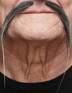 DEGUISETOI.FR -  - False Mustache