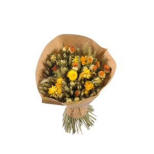 GAMM VERT -  - Dried Flower