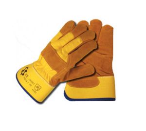 SACOBEL -  - Proctection Glove