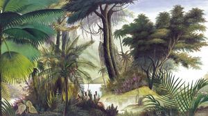 Ananbô - les sources de l'orénoque - Panoramic Wallpaper