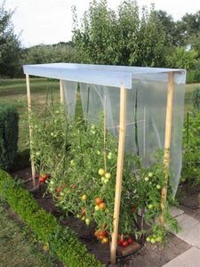 La boutique du jardinage - toit a tomate - Mini Greenhouse