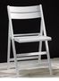 Folding chair-WHITE LABEL-Lot de 2 chaises pliante ROBERT blanche.