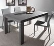 Rectangular dining table-WHITE LABEL-Table repas extensible WIND design wengé 120 cm