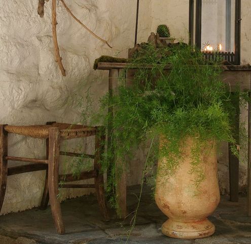 Le Chêne Vert - Jar-Le Chêne Vert-Jarre à Olives