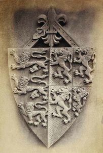 LINEATURE - third shield - 1871 - Fotografie