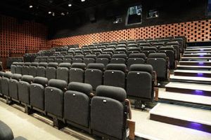 Audience Systems -  - Poltrona Cinema