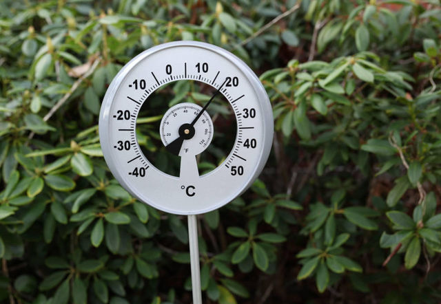 WORLD OF WEATHER - Termometro-WORLD OF WEATHER-Thermomètre de jardin sur pic avec aiguille 24x3,5